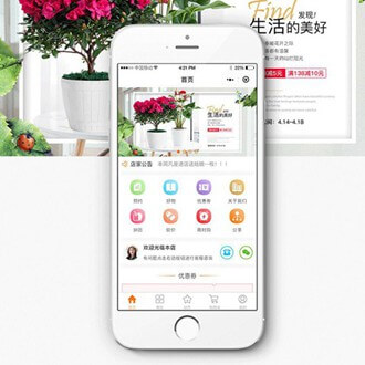 仪征门店微商城小程序开发