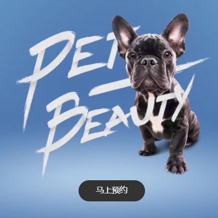 仪征宠物中心小程序开发