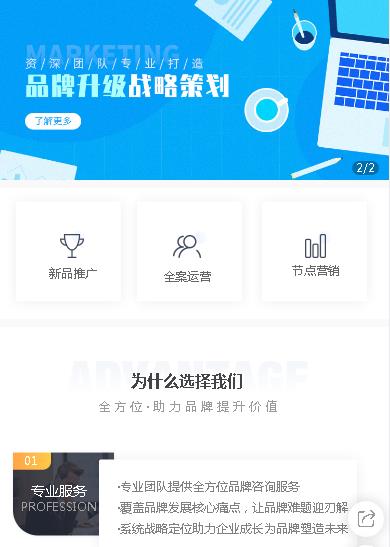 仪征咨询策划小程序开发