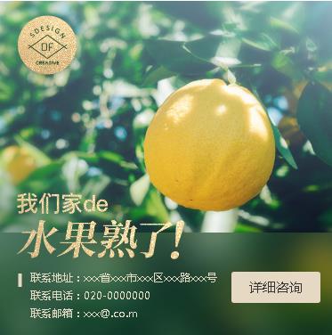 仪征果园果林小程序开发